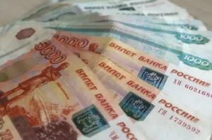Сельские пекарни Мордовии получат субсидии на обновление оборудования